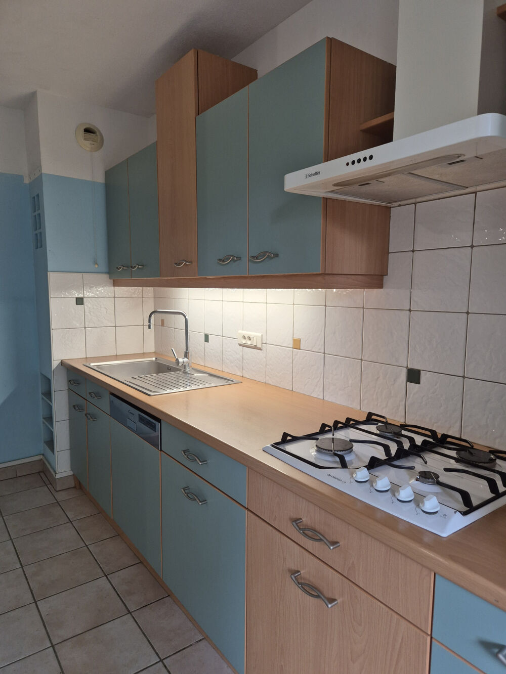 Vente Appartement Appartement T3 avec jardin et garage Pontcharra