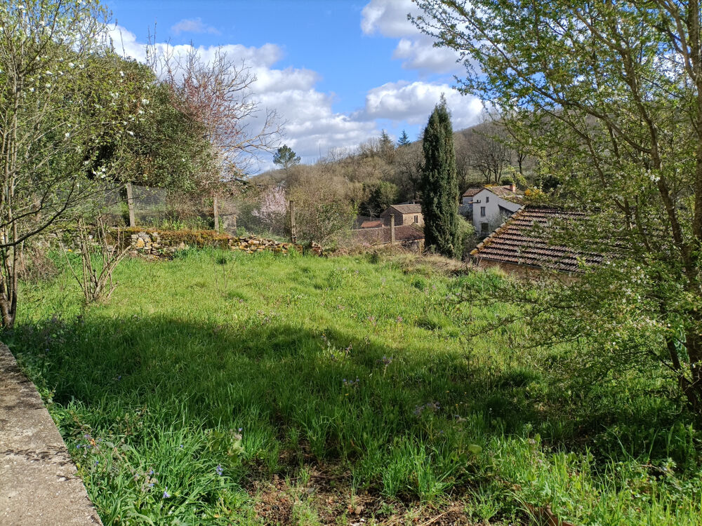 Vente Maison Milhars , Maisons en pierre dont une à rénover Milhars