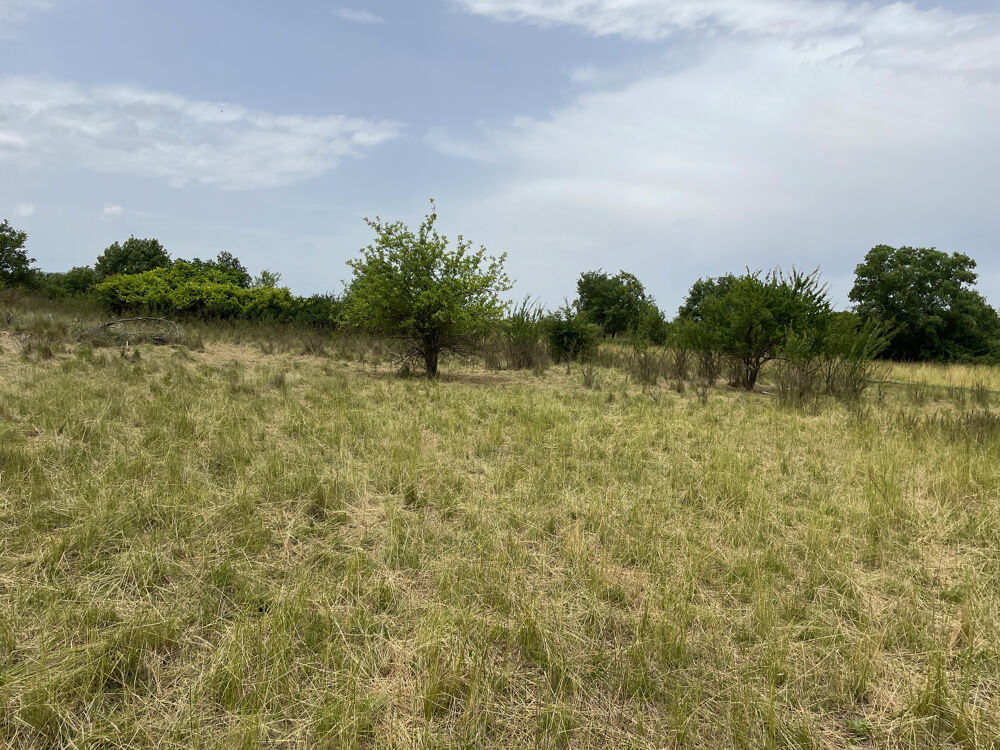 Vente Terrain VENTE -TERRAIN - 600 M2 - ALLEGRE LES FUMADES Allegre les fumades