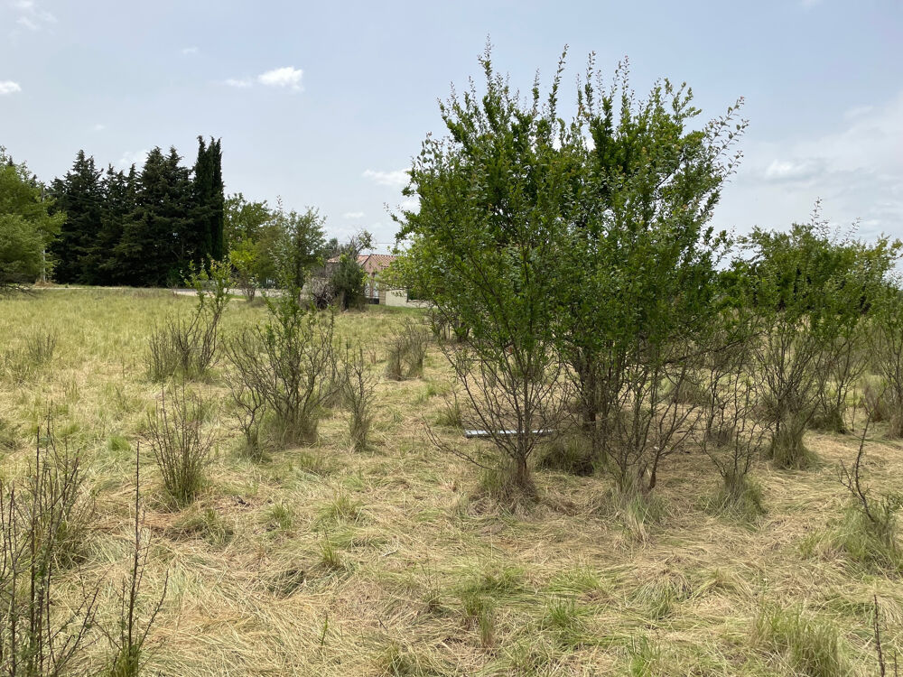 Vente Terrain VENTE - TERRAIN - 685 m2 - ALLEGRE LES FUMADES Allegre les fumades
