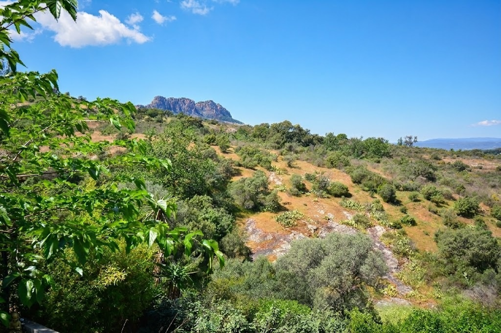 Vente Maison Roquebrune sur Argens - Charmante masion jumelée d'un côté rénovée et avec vue pnaoramique sur Rocher de Roque Roquebrune sur argens