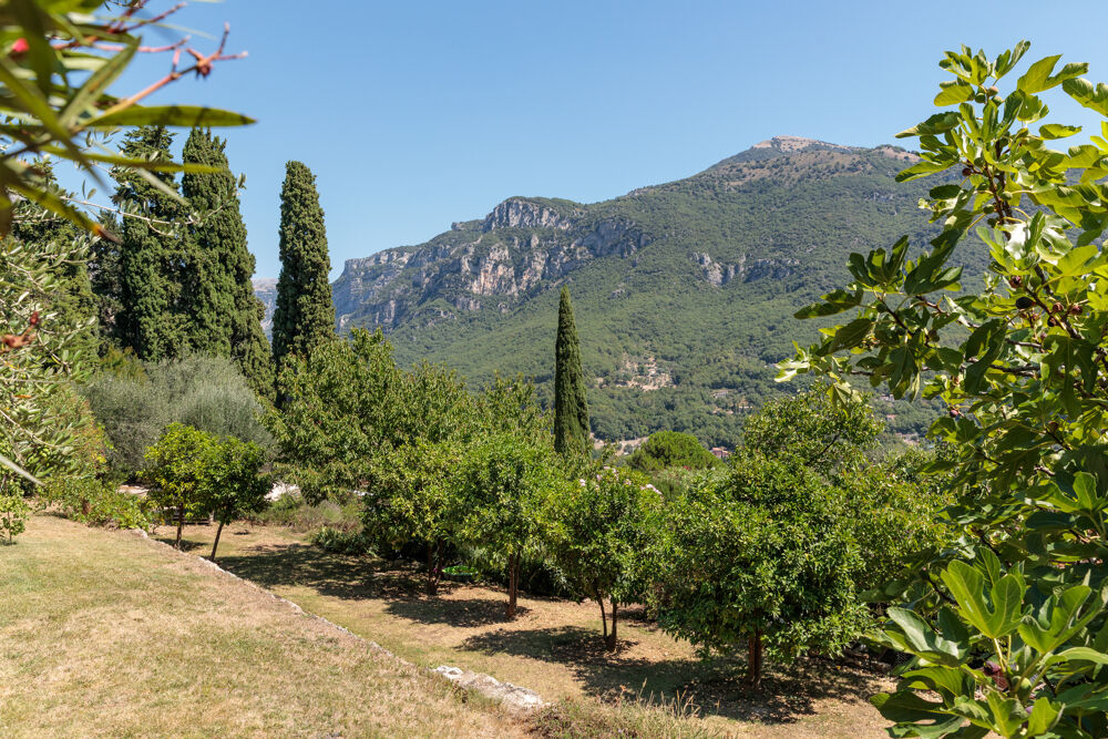  vendre  Maison Le Bar-sur-Loup (06620)