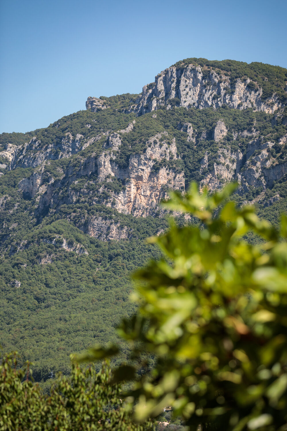  vendre  Maison Le Bar-sur-Loup (06620)