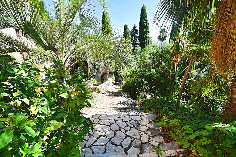   Grasse