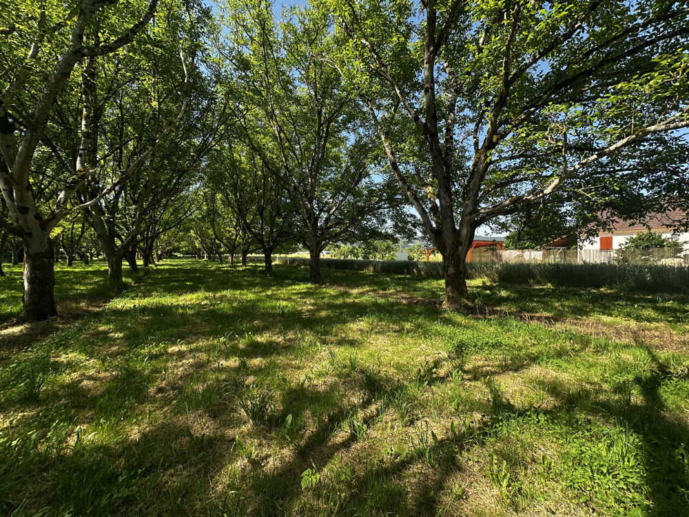 Vente Terrain Terrain arboré de 1 255 m2 à Tauriac Tauriac