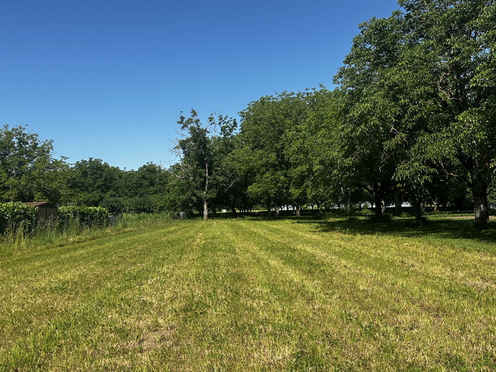 Vente Terrain Terrain constructible de 1 204 m2 à Tauriac Tauriac