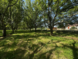 Vente Terrain Terrain arboré de 1 255 m2 à Tauriac Tauriac
