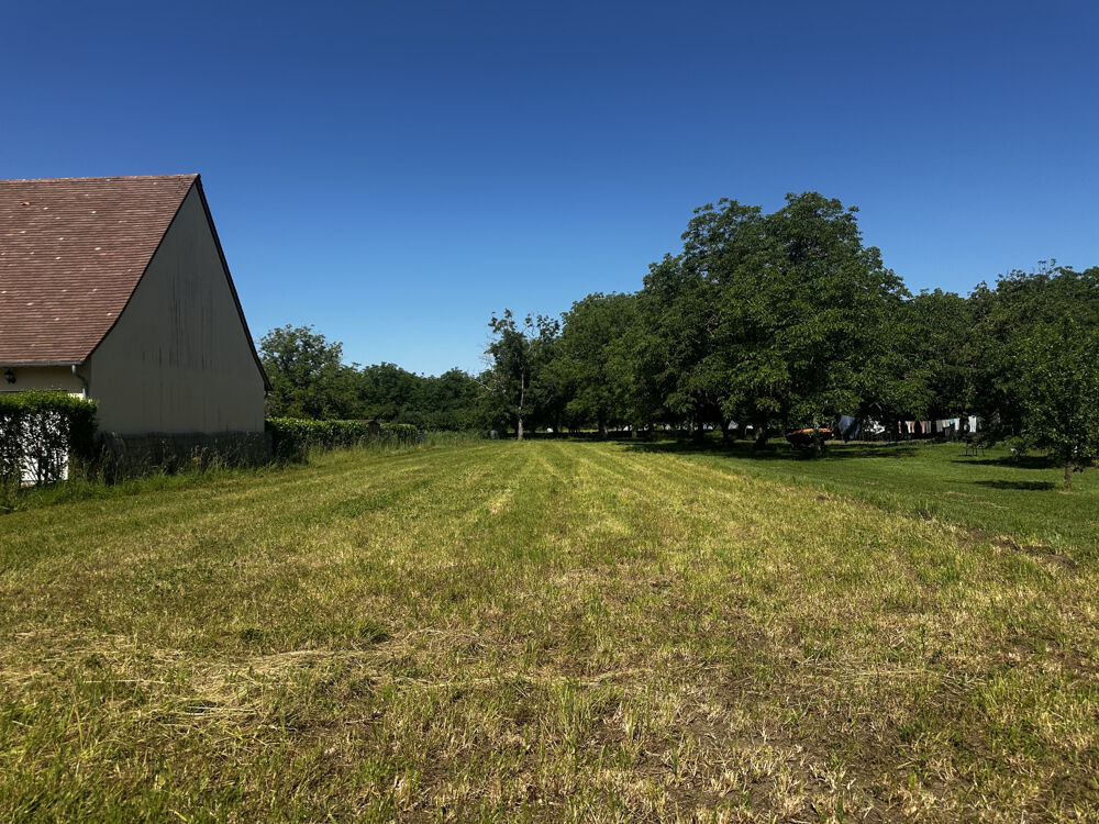 Vente Terrain Terrain constructible de 1 204 m2 à Tauriac Tauriac