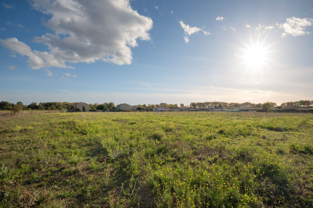 Vente Terrain Terrain 499m2 154 900€ Le cailar