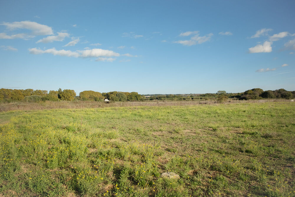 Vente Terrain Terrain 361 m2 LE CAILAR Le cailar