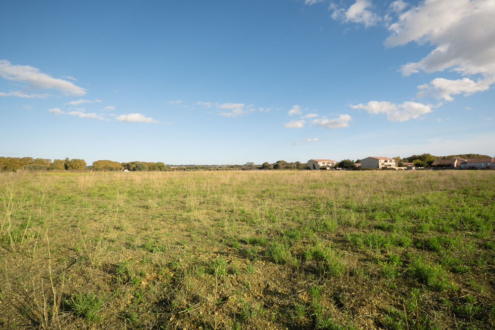 Vente Terrain Terrain 499m2 154 900€ Le cailar