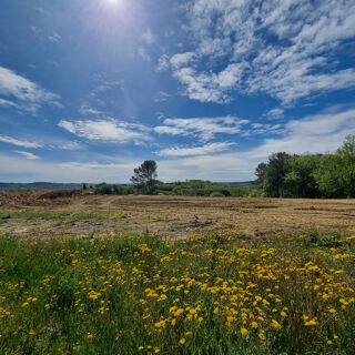  Terrain à vendre 320 m²