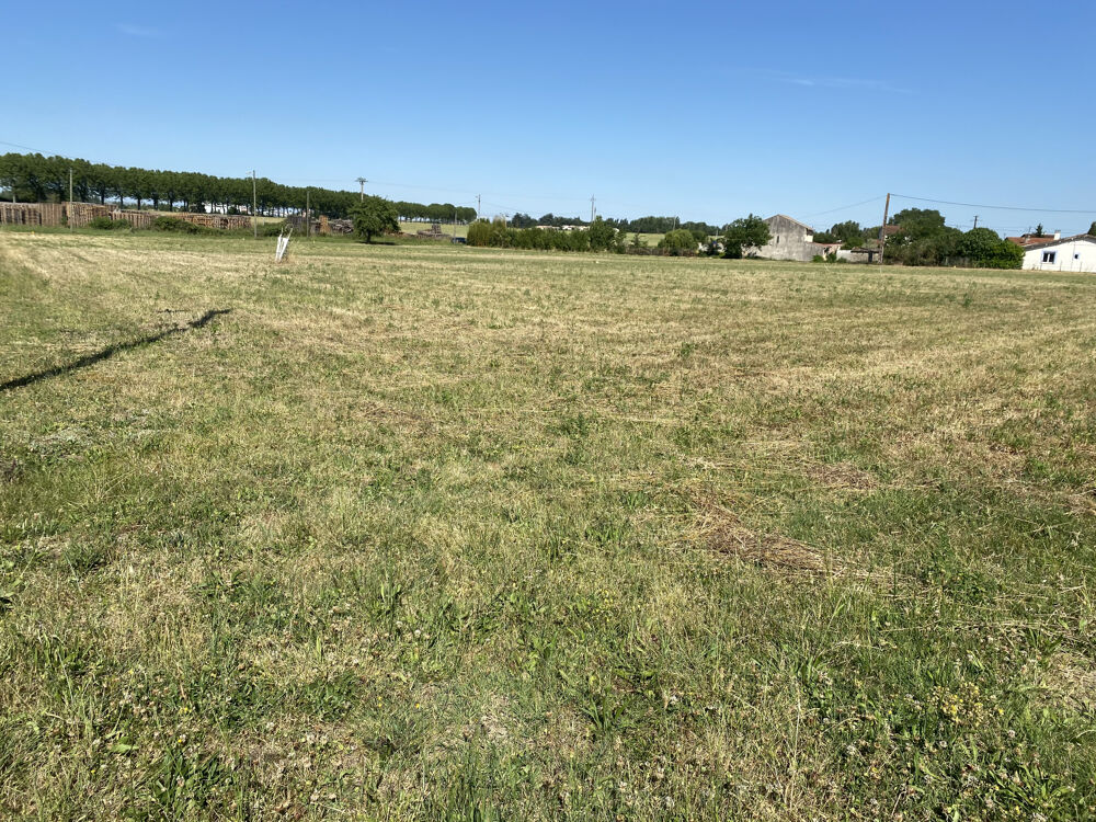 Vente Terrain Terrain de 1087 m2 à Saverdun Saverdun