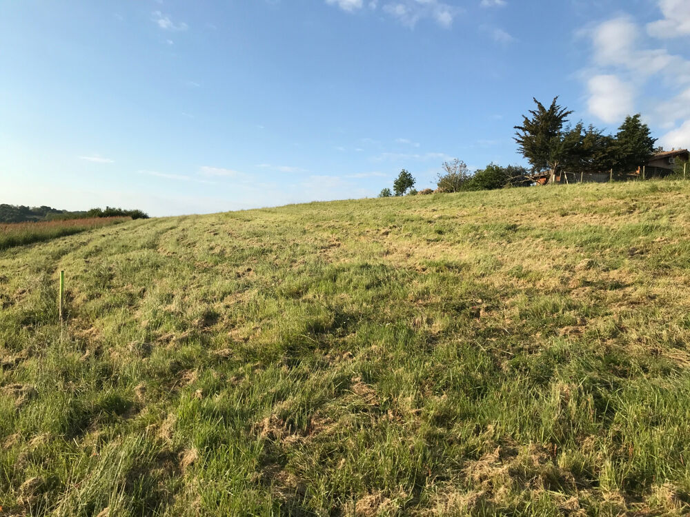 Vente Terrain Terrain de 2446 m2 sur les côteaux 09700 LABATUT Labatut
