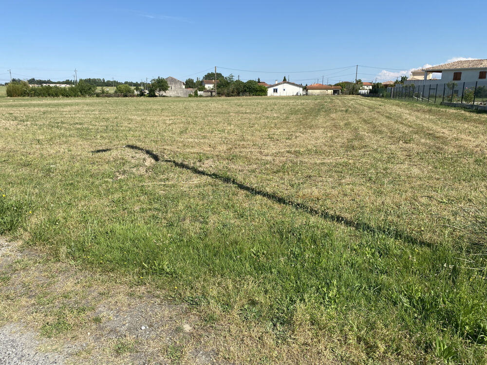 Vente Terrain Terrain de 1087 m2 à Saverdun Saverdun