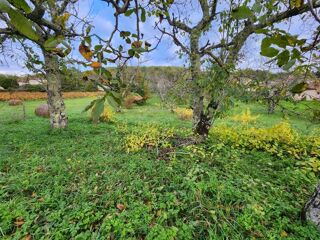  Terrain  vendre 1628 m