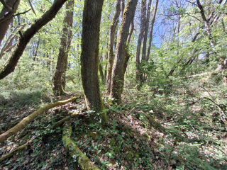  Terrain � vendre 3320 m�