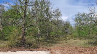  Terrain � vendre 2003 m�