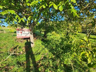  Terrain � vendre 1628 m�