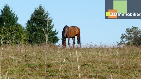   vente maison - 11 pi�ce(s) Maison - 11 pi�ce(s) - 500 m�