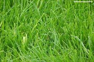  Terrain � vendre 1688 m�