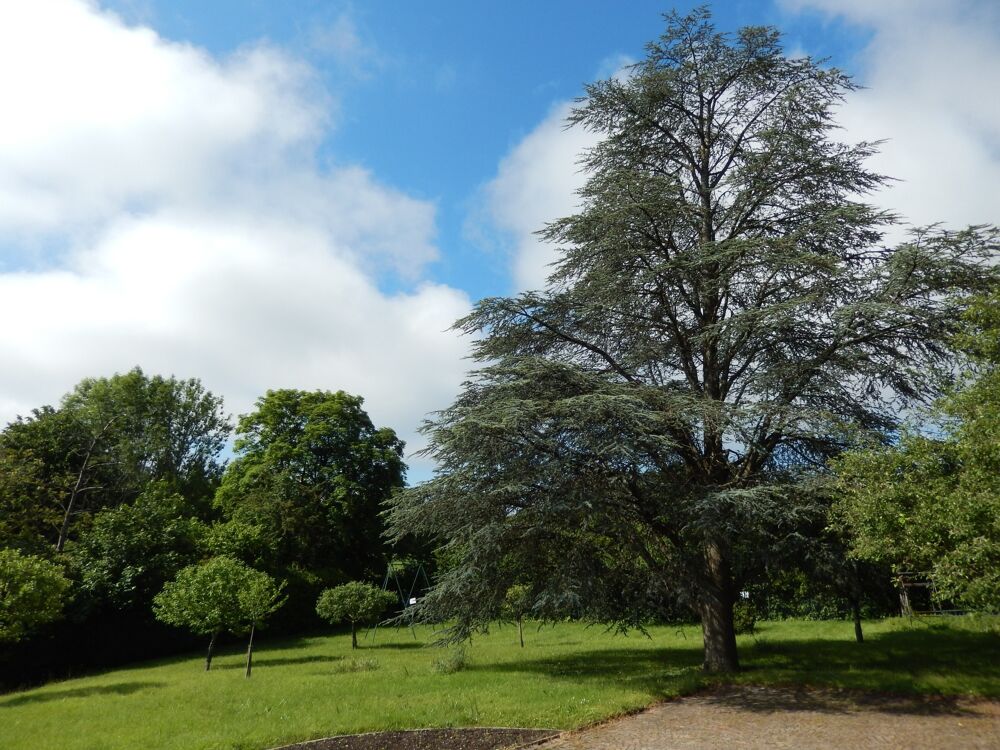 � vendre  Maison V�traz-Monthoux (74100)