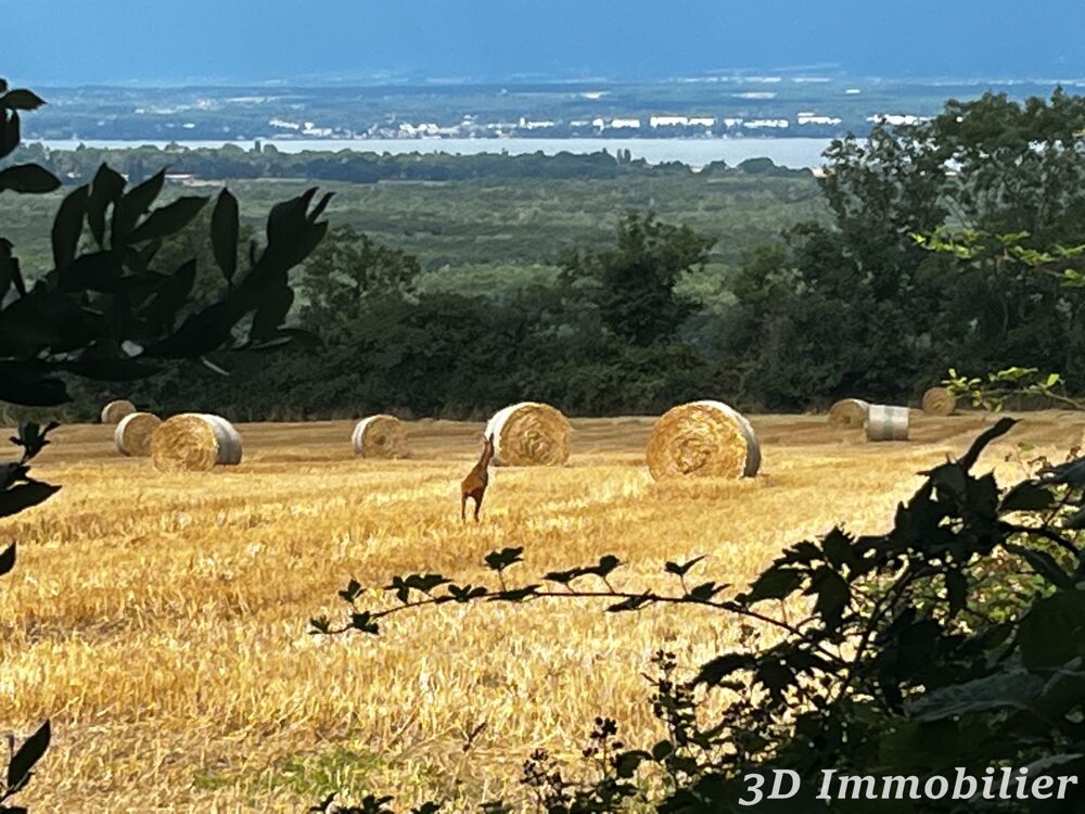 � vendre  Maison Ballaison (74140)