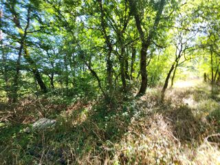  Maison � vendre 6 pi�ces 156 m�