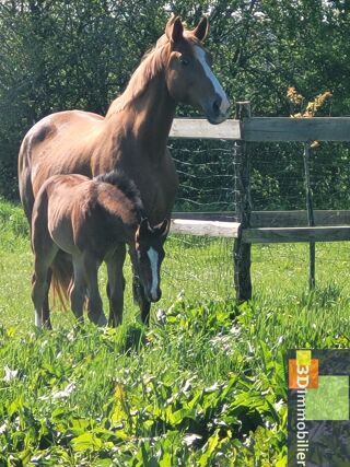  Maison � vendre 11 pi�ces 500 m�