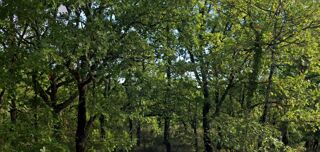  Terrain � vendre 3150 m�