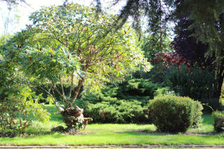  Maison � vendre 15 + pi�ces 1 m�