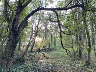  Terrain � vendre 11530 m�