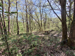  Terrain � vendre 3320 m�