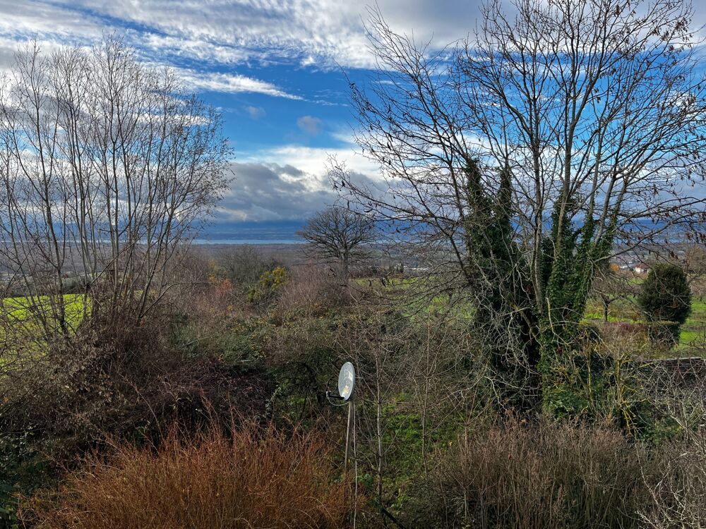  vendre  Maison Douvaine (74140)