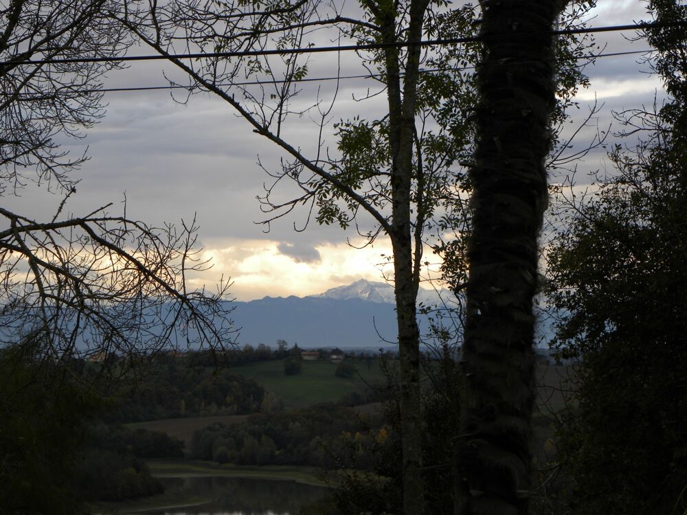 � vendre  Maison Marciac (32230)