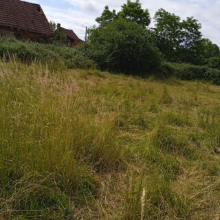  Terrain � vendre 2424 m�