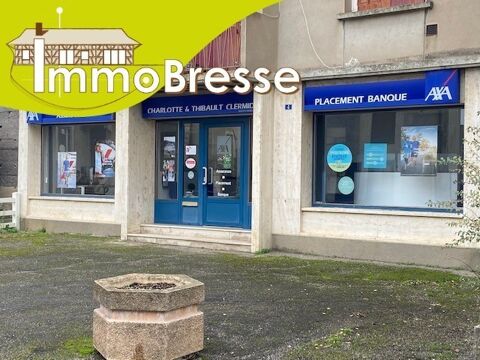 Montrevel en Bresse - A louer local commercial 650 01340 Montrevel en bresse