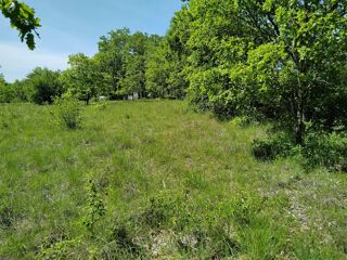  Terrain � vendre 5355 m�