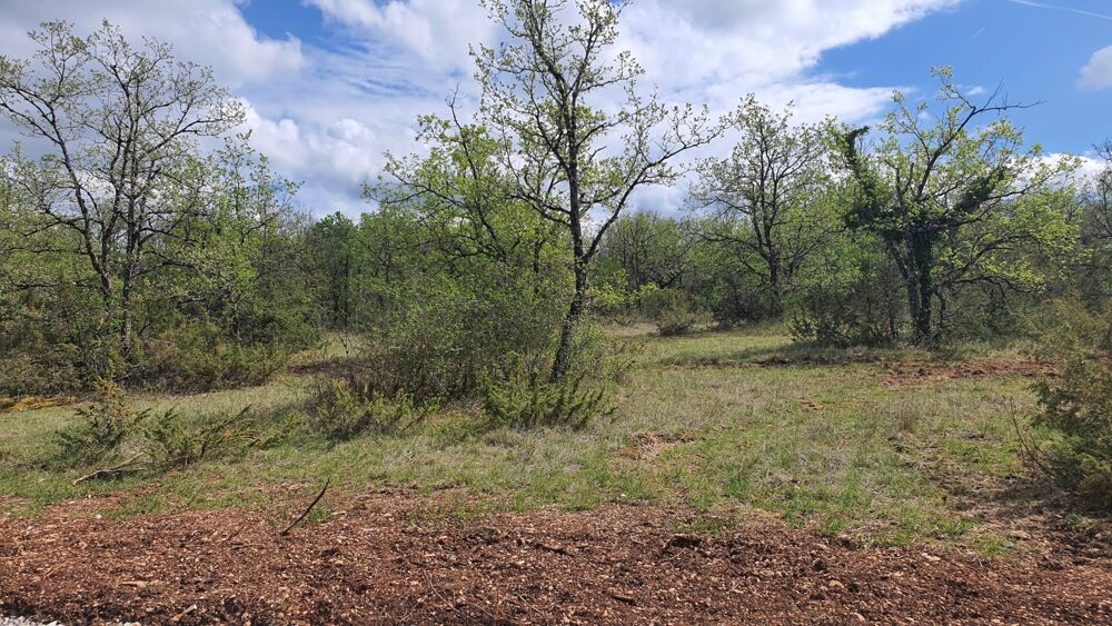 Vente Terrain vente terrain - (s) Lalbenque