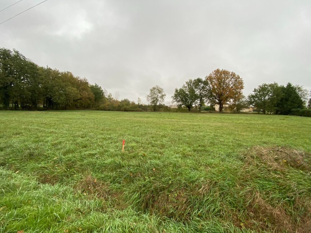 Vente Terrain TERRAIN VIABILISE DE 2390 M2 St etienne de tulmont