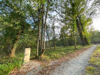  Terrain à vendre 11530 m²