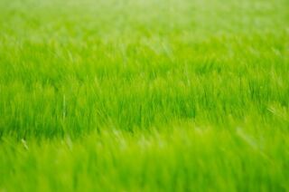  Terrain � vendre 580 m�