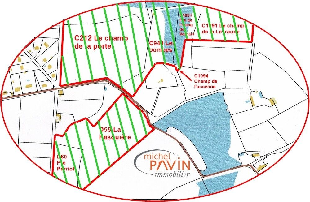 Vente Terrain ETANGS, BOIS ET TERRES SUR 30ha 55a 73ca A DECOUVRIR La guerche sur l aubois