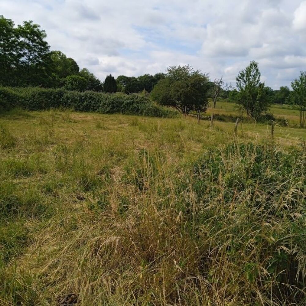 Vente Terrain vente terrain - (s) Bletterans