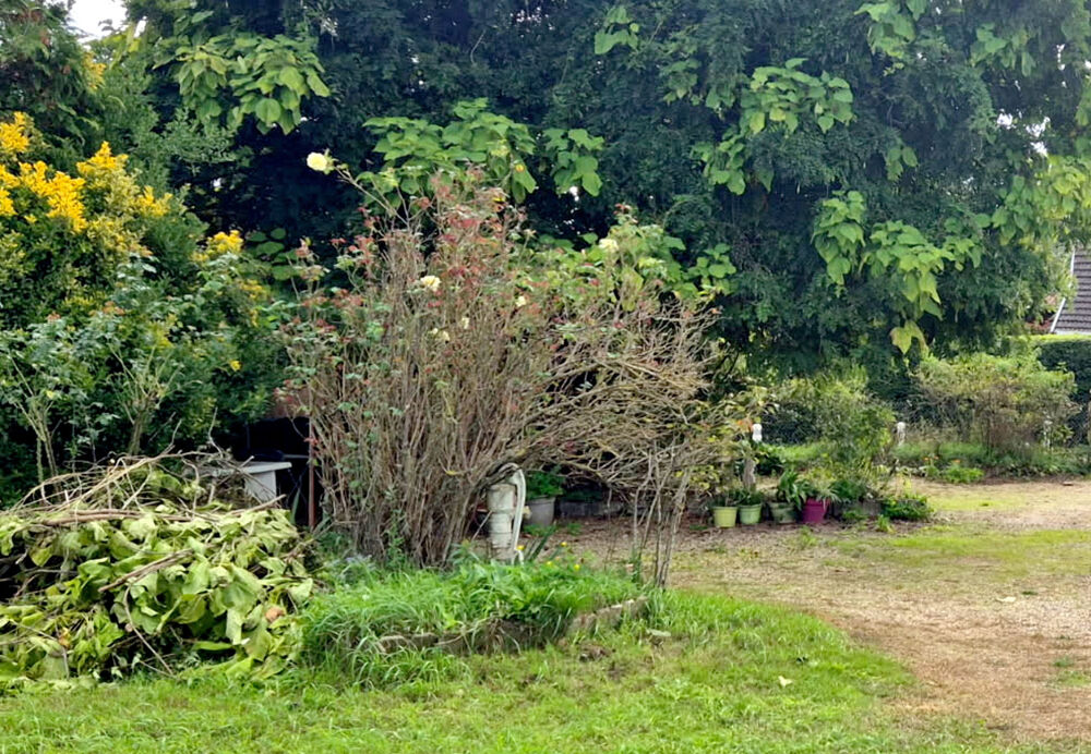 Vente Maison vente maison - 3 pièce(s) Bragny sur saone