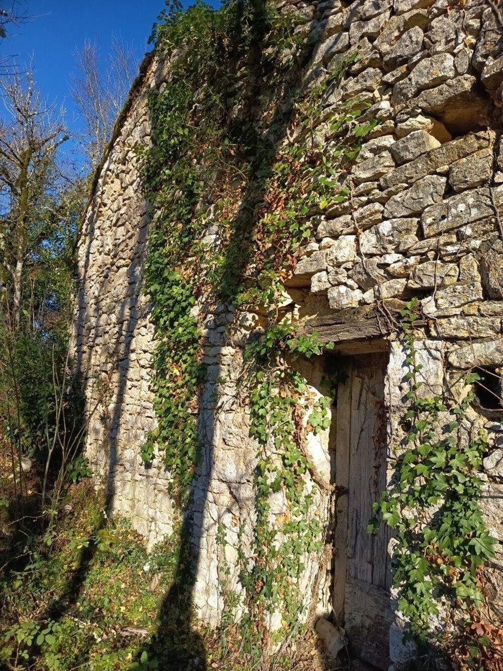 Vente Terrain Terrain avec grange Trespoux rassiels