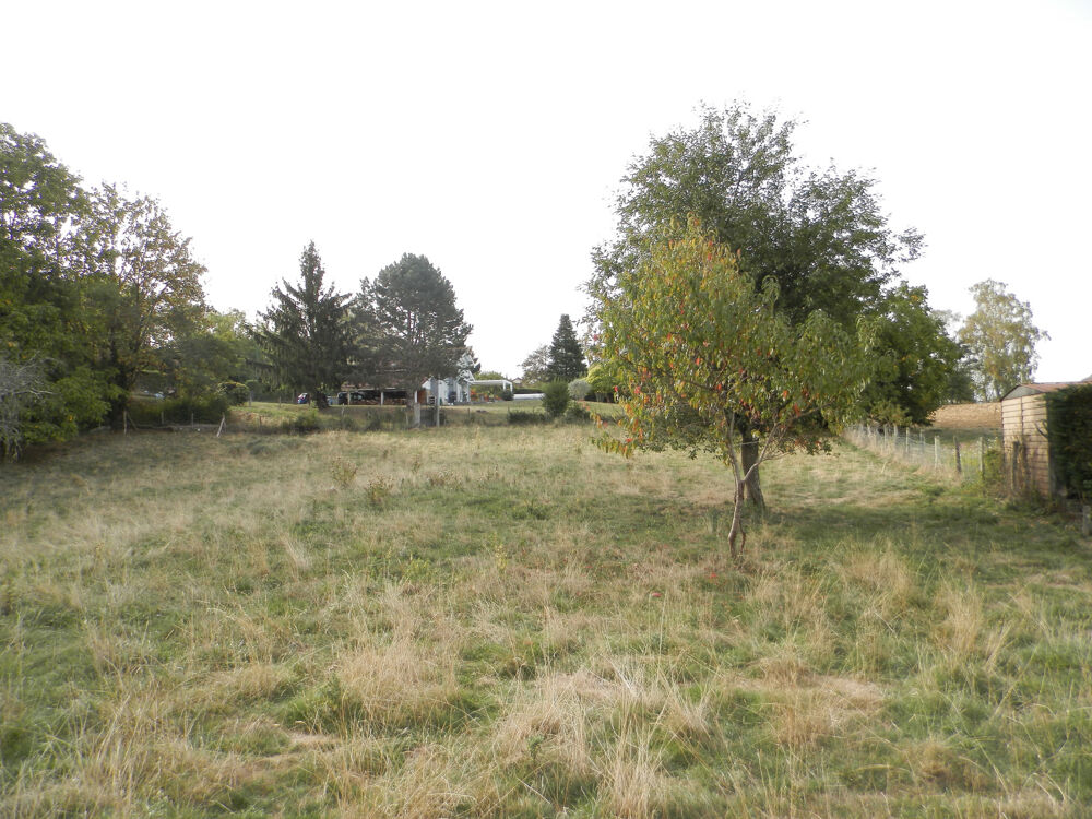 Vente Terrain vente terrain - (s) St amour