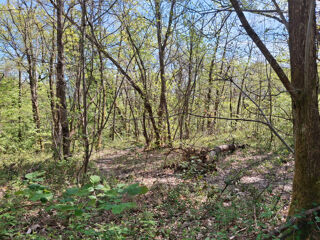  Terrain � vendre 3320 m�
