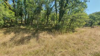  Terrain à vendre 12160 m²