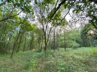  Terrain à vendre 